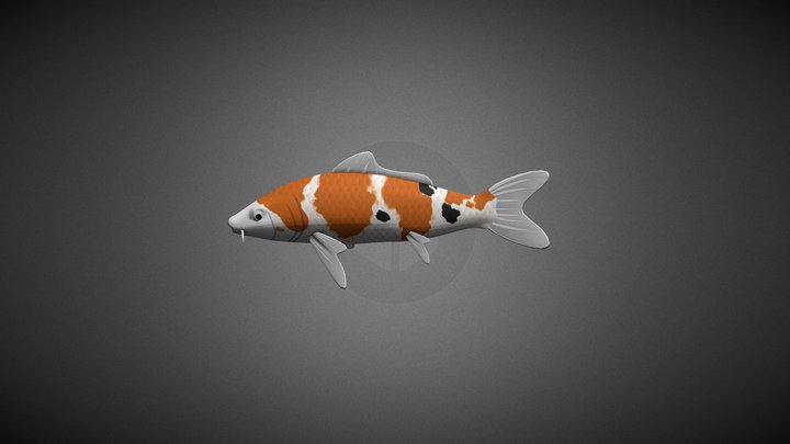 Animated koi fish 3D Model