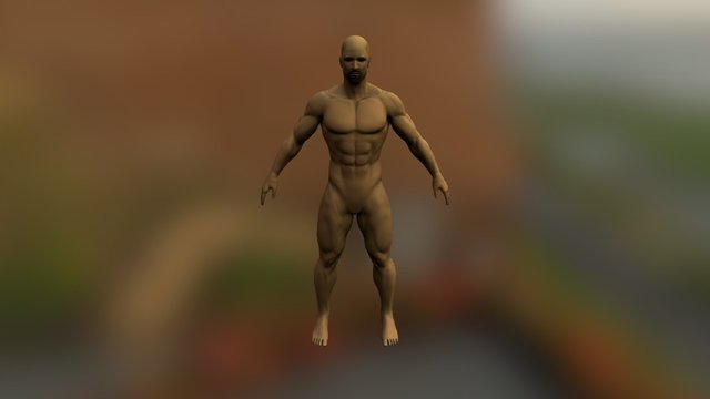 Male Anatomy 3D Model
