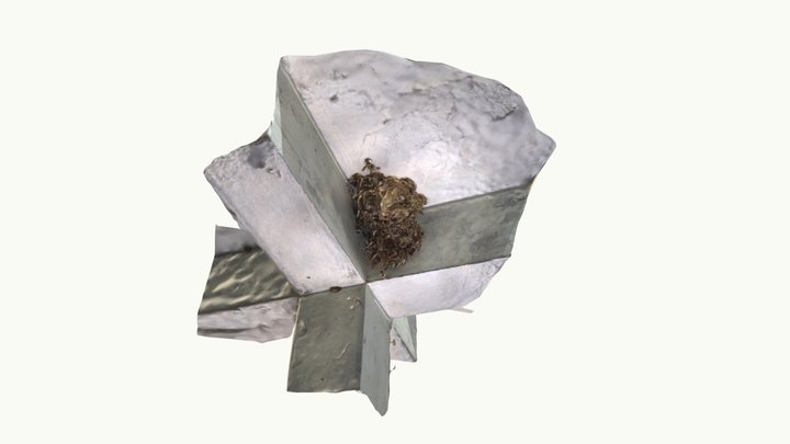 Bird - habitat 3D Model