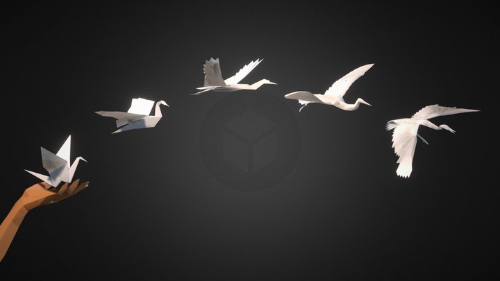 Origami Crane Study 3D Model