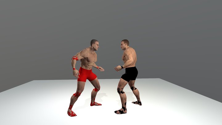 Stunner Animation 3D Model