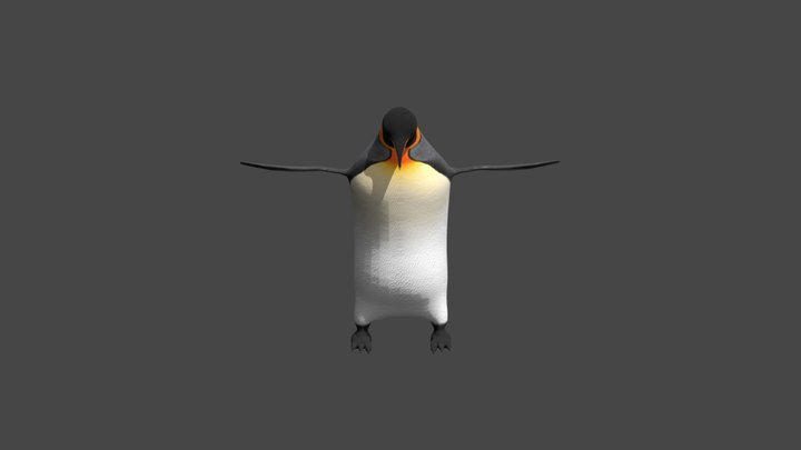 King Penguin 3D Model