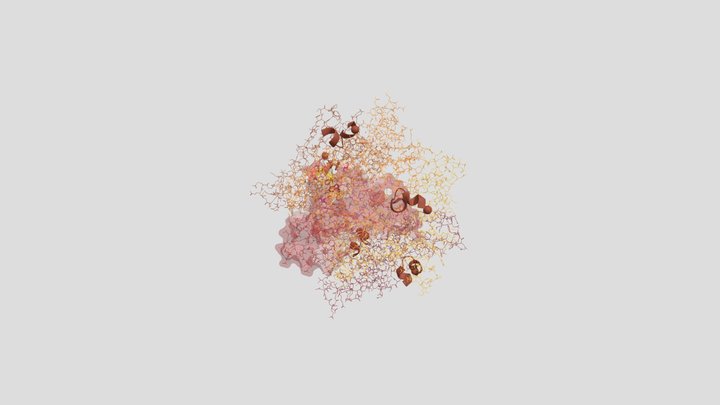 Aría's Inferno: Sins of Interactions α-conotoxin 3D Model