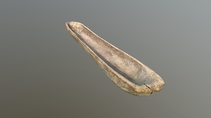 Mesolithic canoe 3D Model