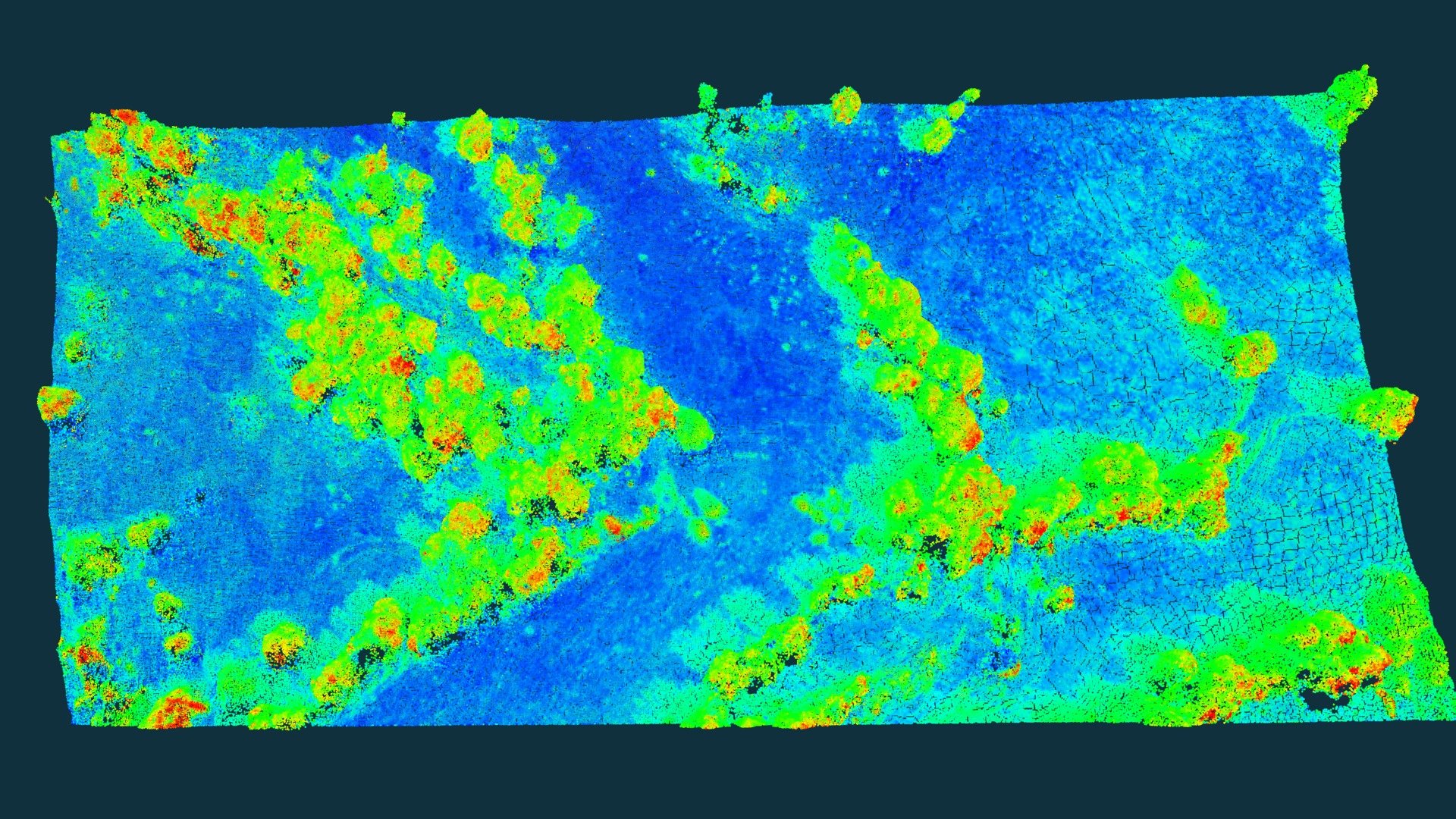 Done Remote Sensing app in forest