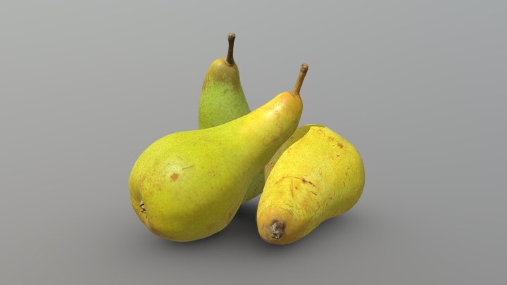 Three Abbé Fetel Pears of Different Ripening 3D Model