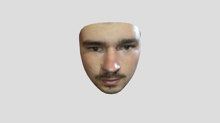face 3D Model