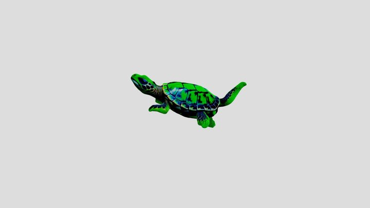 Turtle 3D Model