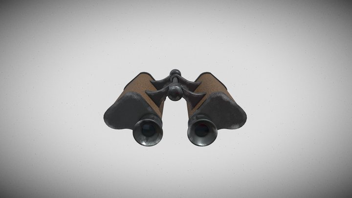 binoculars project LOW POLLY1 3D Model