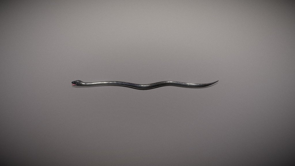 Snake 3d