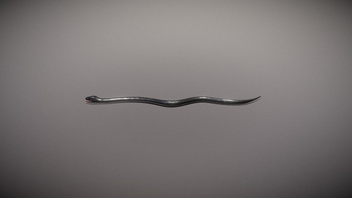 Snake 3d 3D Model
