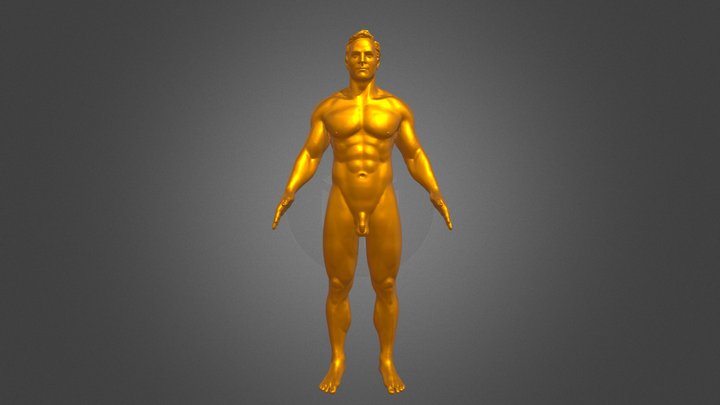 Super Average Male 3D Model