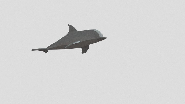 Dolphin 3D Model