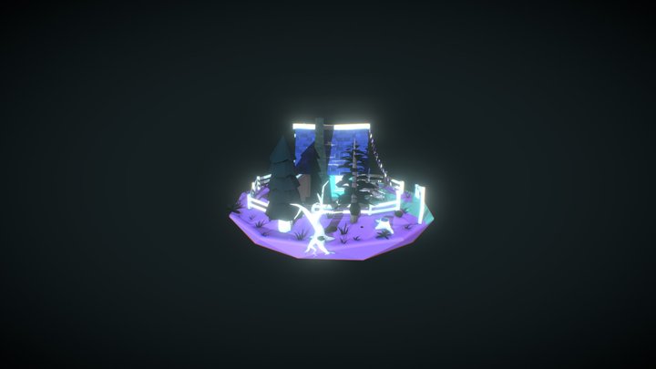 The Surreptitious Shoe 3D Model