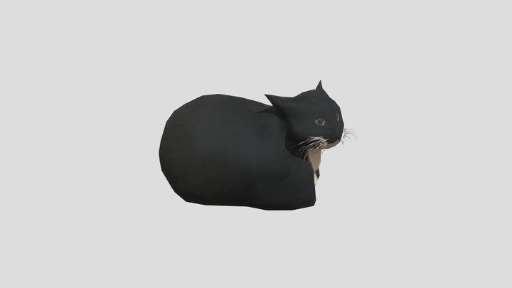 ramkeg the cat 3D Model