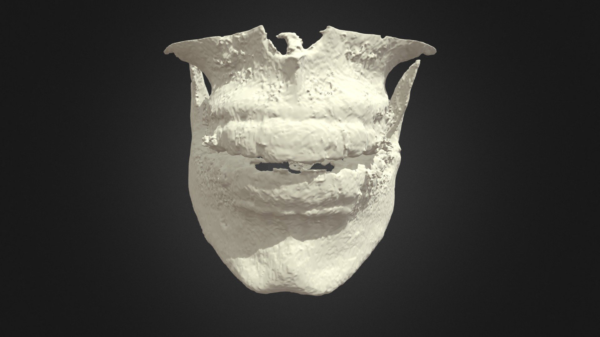 Human Jaw CBCT Scan - Download Free 3D model by Nat (@natton) [3c417fe ...