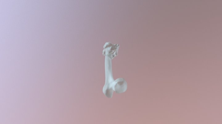 Left Femur 3D Model