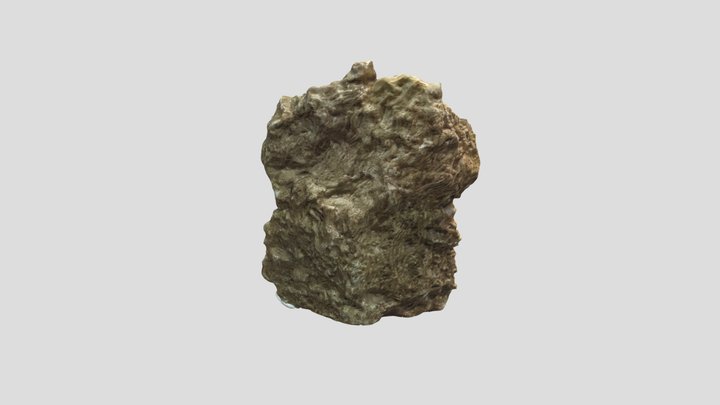 Algae fossil, Iida Karstiala, Raplamaa, Estonia 3D Model
