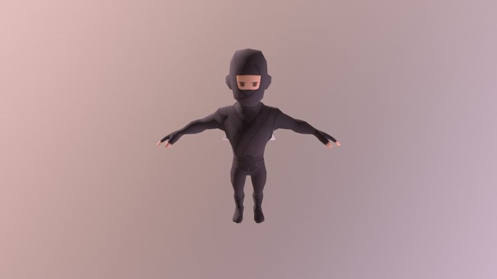 Ninja 3D Model