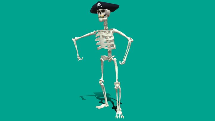 Pirate Skeleton 3D Model