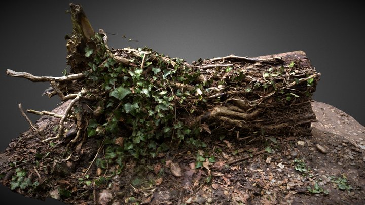 High Quality Tree Stump with Ivy 3D Model