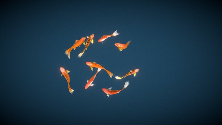 KOI Fishes 3D Model