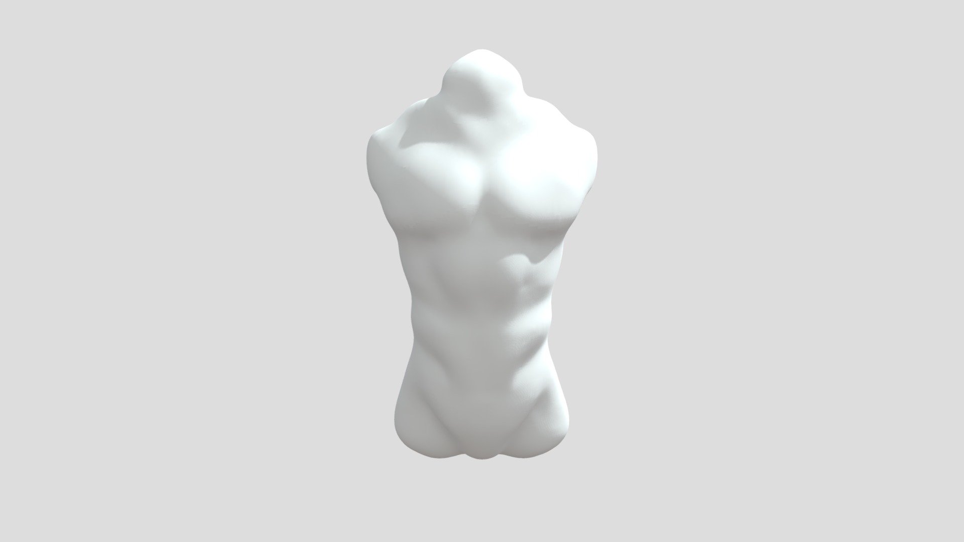 Black Panther Torso