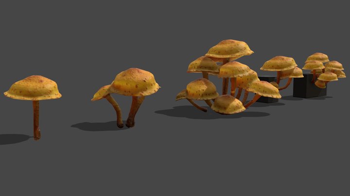 Mushroom_12 3D Model