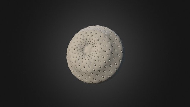 Strawberry [wo/ textures] 3D Model