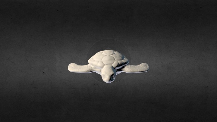 Sea Turtle - High Res 3D Model