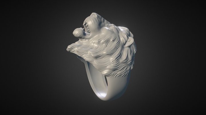 Lion Ring. 21mm 3D Model
