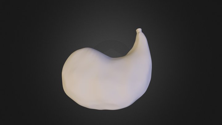 Waterskin 3D Model