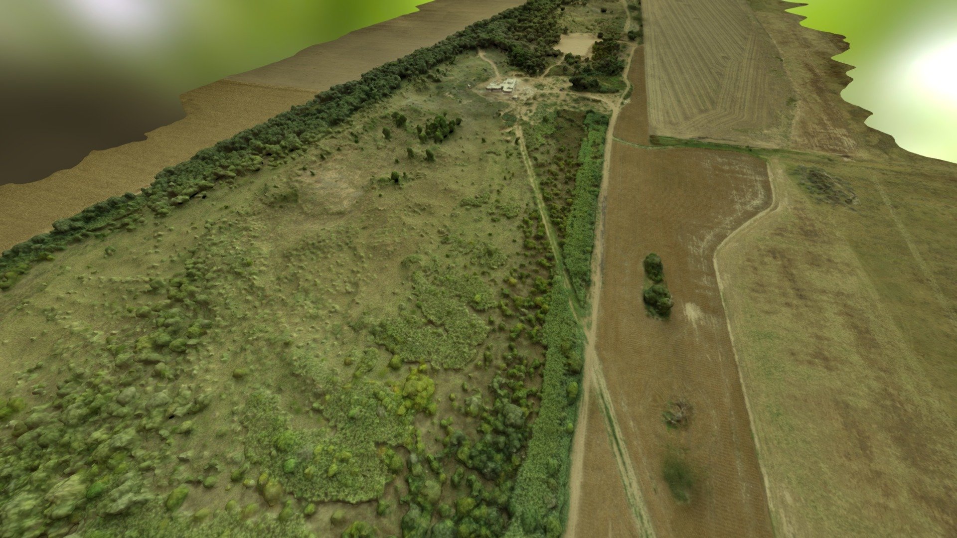 dunas y bosques