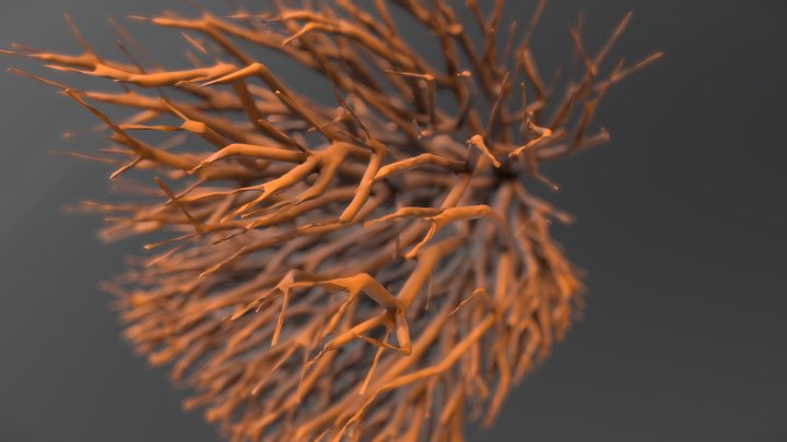 Coral_test01 3D Model