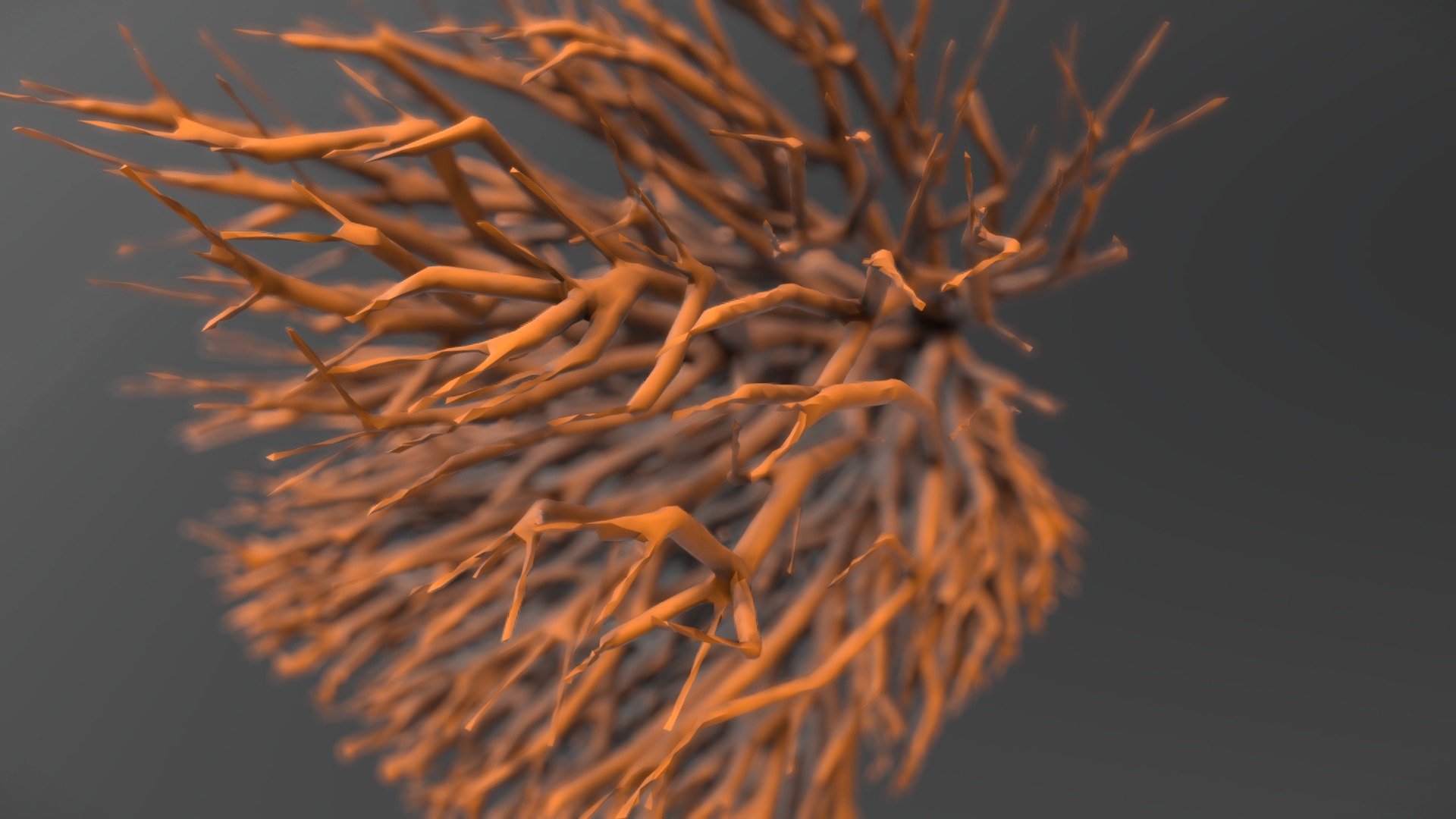 Coral_test01