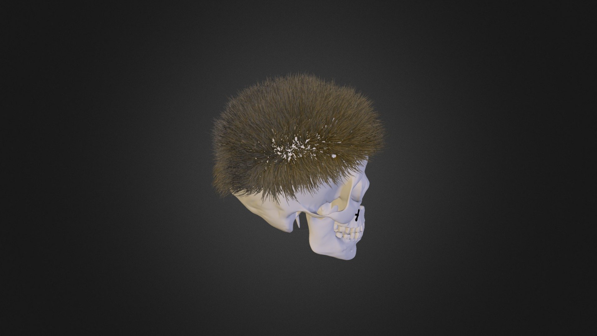 Cherep - 3D model by radev [3c58c41] - Sketchfab