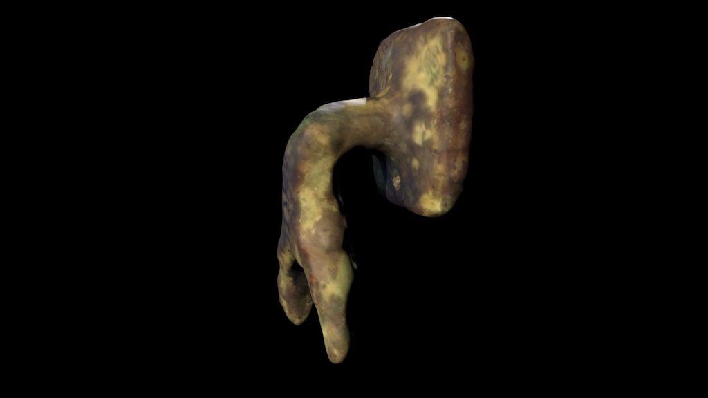 Iron Age Button-loop Fastener