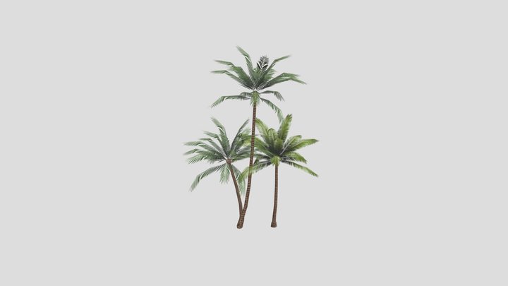 Palms 3D Model