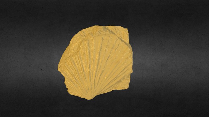 Monotis, a marine fossil on dry land 3D Model