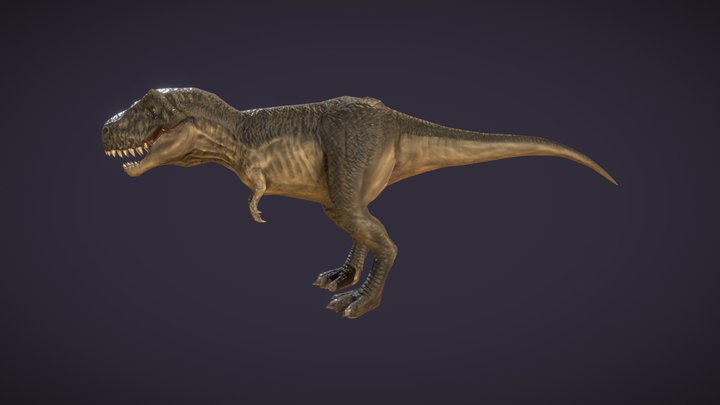 T-Rex low poly model 3D Model