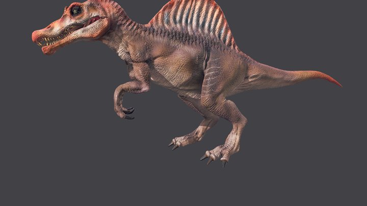 Spinosaurus Roar 3D Model