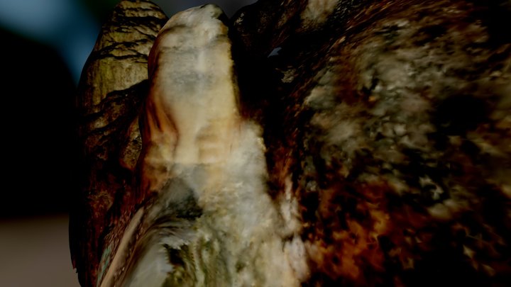 Le "Christ" de Falicon grotte de la Ratapignata 3D Model