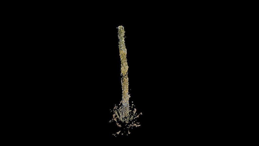 Cactus Bloom Point Cloud