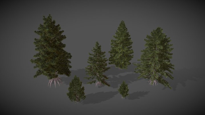 Hemlock 3D models - Sketchfab