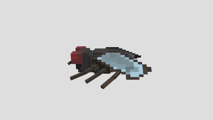 Муха 'Bjix' 3D Model