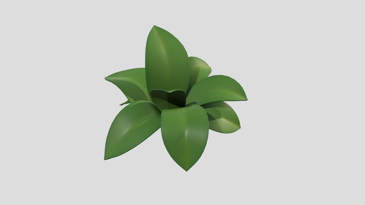 Palm Bush 3D Model