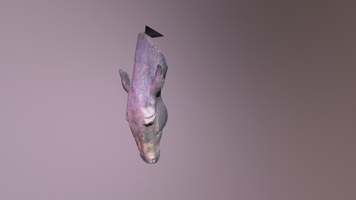 Horse at Water 3D Model