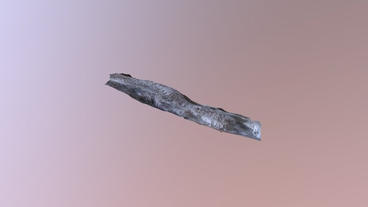 Reventador Lava Flow 2018 3D Model