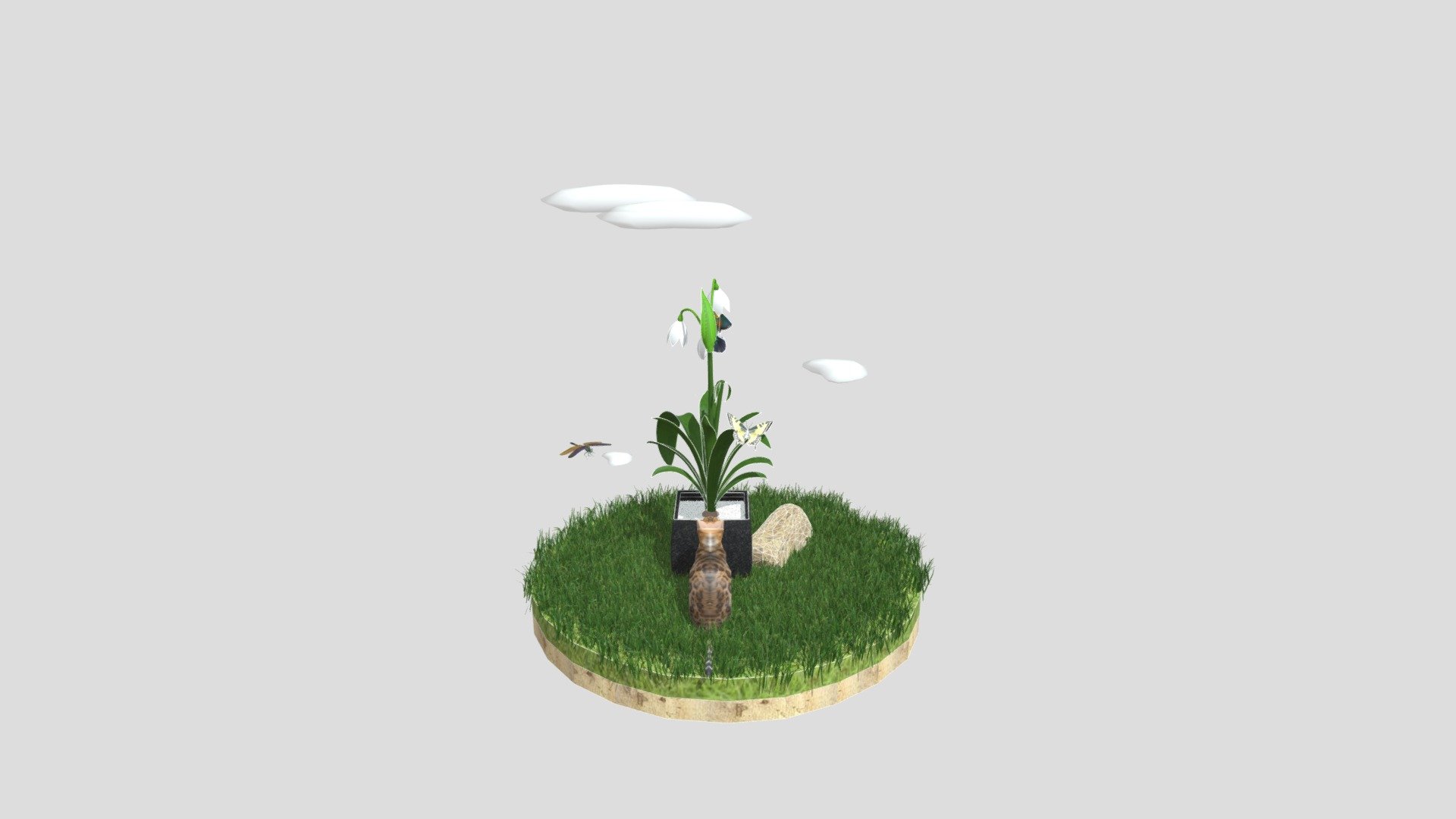 RELAXING 3D_ THE PATIENT CAT