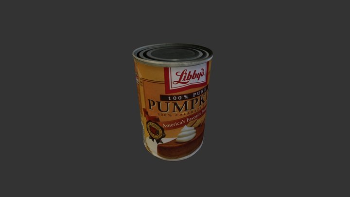 Pum 3D Model